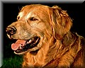 1644754-3b50f677bc9e72a3.jpg