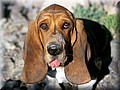 1645208-9facf521baa09b0c.jpg