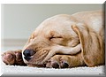 1650567-f98265a61bbe4461.jpg