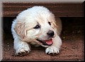 1650568-1c3bb71a56cb7f9a.jpg