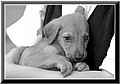 1653629-38362a1eea2dc761.jpg