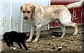 1654681-040fec0b192d0587.jpg