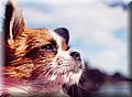 1654789-54244c6d36d446c2.jpg