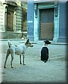 1654822-c67aab284fcf1be9.jpg