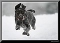 1655567-c1f5727f26d2e36f.jpg