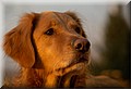 1660443-9e62de268864f665.jpeg