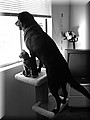 1666142-edad08f9f0ec6101.jpeg