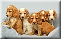 1666197-9338bb42d06e50d7.jpeg