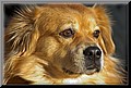 1670147-e425b282157139a0.jpg