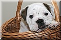 1670365-e03db75b3464d384.jpg