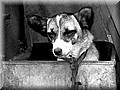1670588-66e626aa6e63c8a4.jpg