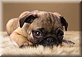 1671045-b434c59a7430f14b.jpg