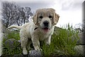 1671450-8c35d7fd8def3e3e.jpg