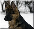 1673972-9892e82edf8a653c.jpg