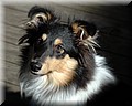 1674390-835eb40db7031865.jpg