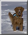 1678791-9d4b26c665615615.jpg