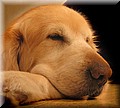1678879-0c4998c3f6cdea55.jpg