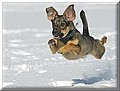 1680348-25bcdf12fe5d84fa.jpg
