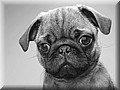 1681472-c665d84e5152c6d8.jpg