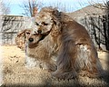 1681821-a178f06048941d3a.jpg