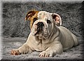 1684421-28d2069e2bcd361a.jpg