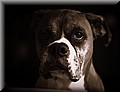 1685308-3332c35c456e9a07.jpg