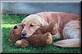 1685454-a27bd63a495076da.jpg