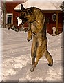 1686690-05d2e1f828e65867.jpg