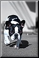 1687082-faa82cc136b7911f.jpg
