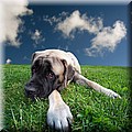 1687269-cddf6a356db179c0.jpg