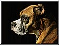 1687547-a3ac473cdd70d731.jpg