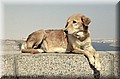 1691376-7d5e0226456c4723.jpg