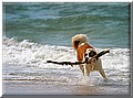 1691526-ff80727fc99eeb38.jpg