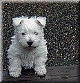 1691859-a47642f63cc8d5b1.jpg