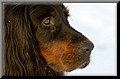 1692154-7d70123b5cdf32af.jpg