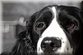 1692450-0fb72227ed9bb863.jpg
