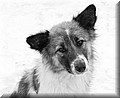 1694744-5ef10c754fff0ab5.jpg