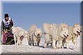 1695027-f748e66842224db4.jpg