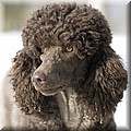 1698169-ca399146edb2d9c4.jpg