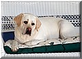1699328-98f39b93be548593.jpg