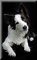 1701092-62791ab31ef650a9.jpg