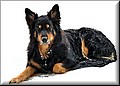 1703147-5ecbb406ecd9cc19.jpg
