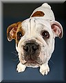 1703817-ef82cbed8207beee.jpg
