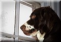 1704082-9a872dd2041a6297.jpg