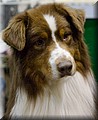 1707672-6fc4f4c5cb558b4d.jpg