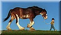 1710631-83131512de5677fb.jpg