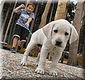 1717058-8e688de2c038ddef.jpg