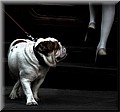 1718641-0a9fbccbf325920a.jpg