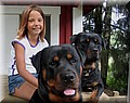 1721796-23de46ea29bc2be0.jpg
