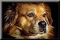 1723935-6d002ebf24e981fb.jpg